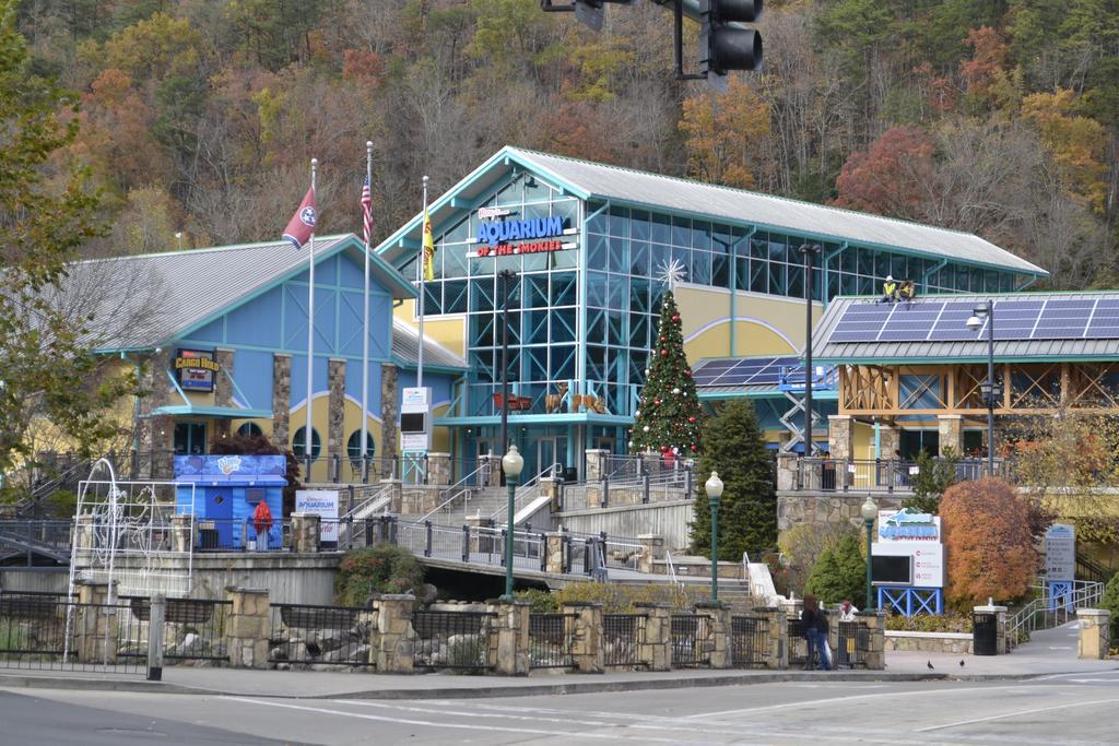 Rising Eagle Lodge - Eight Bedroom Pigeon Forge Εξωτερικό φωτογραφία